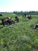 Поисковые работы