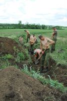 Поисковые работы