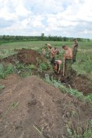 Поисковые работы