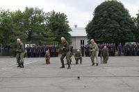 43-я годовщина со дня создания воинской части 11659