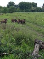 Военно-полевой выход