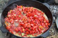 Военно-полевой выход