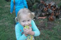 Военно-полевой выход