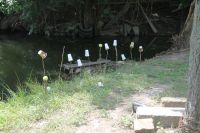 Военно-полевой выход