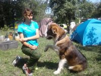 Военно-полевой выход