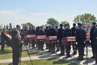 Освобождение Ростовской области от немецко-фашистской оккупации