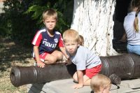 Празднования в честь иконы Пресвятой Богородицы «Донская»