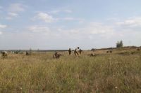 Военно-исторический фестиваль «Воронежский фронт»