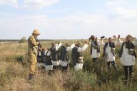 Военно-исторический фестиваль «Воронежский фронт»