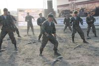 Военно-исторический фестиваль «Воронежский фронт»