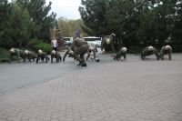 Начало учебного года по программе «Уроки мужества»