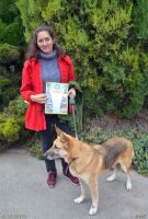 Начало учебного года по программе «Уроки мужества»