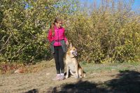 «Урок мужества»