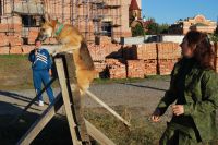 «Урок мужества»