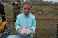 Благоустройство территории комплекса «Кумжа»