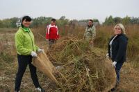 Благоустройство территории комплекса «Кумжа»