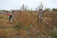 Благоустройство территории комплекса «Кумжа»