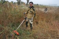 Благоустройство территории комплекса «Кумжа»