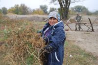 Благоустройство территории комплекса «Кумжа»