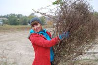 Благоустройство территории комплекса «Кумжа»