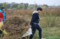 Благоустройство территории комплекса «Кумжа»