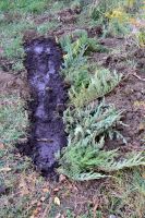 Уборка воинских захоронений