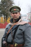 1919 год — два цвета Российской истории