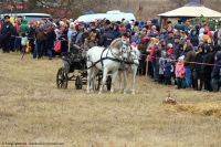 1919 год — два цвета Российской истории