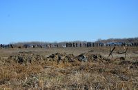 Военно-полевой сбор «Полигон»