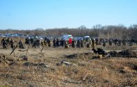 Военно-полевой сбор «Полигон»