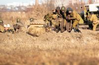 Военно-полевой сбор «Полигон»