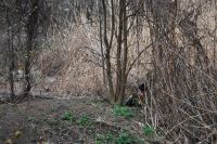 Военно-полевой сбор