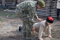 Военно-полевой сбор