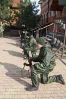 Военно-полевой сбор