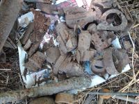 Поисковая вахта памяти «Кровь и слава Миуса»