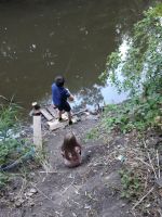 Поисковая вахта памяти «Кровь и слава Миуса»