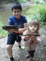 Поисковая вахта памяти «Кровь и слава Миуса»