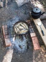 Поисковая вахта памяти «Кровь и слава Миуса»