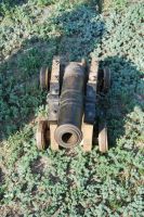 Репетиция-тренировка Азовского осадного сиденья