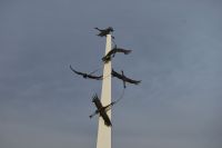 Межрегиональная конференция