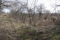 Военно-полевой сбор «Полигон»