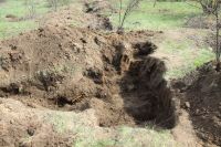 Поисковая «Вахта памяти»