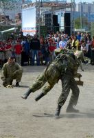 Престольной праздник