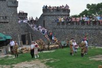 Военно-историческая реконструкция