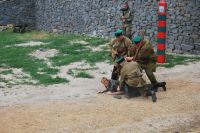 Военно-историческая реконструкция