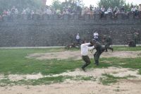 Военно-историческая реконструкция