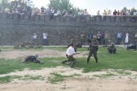 Военно-историческая реконструкция