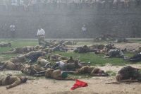 Военно-историческая реконструкция