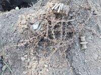 Поисковая вахта памяти