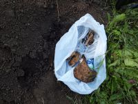 Поисковая вахта памяти